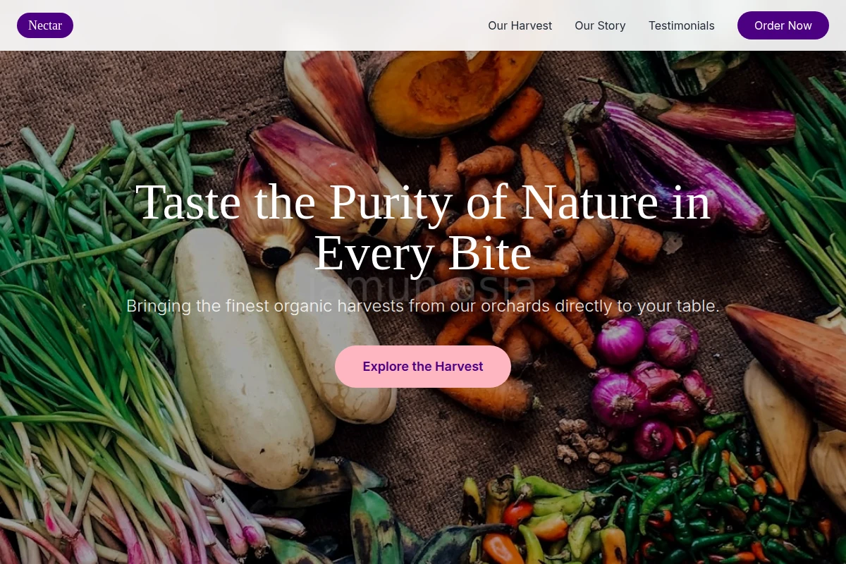 Nectar Organic Food