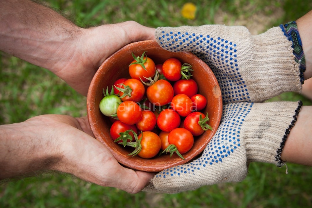 Organic quality